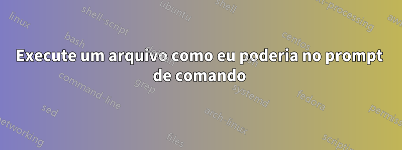 Execute um arquivo como eu poderia no prompt de comando