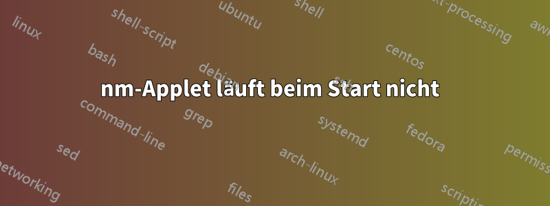 nm-Applet läuft beim Start nicht 