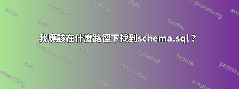 我應該在什麼路徑下找到schema.sql？