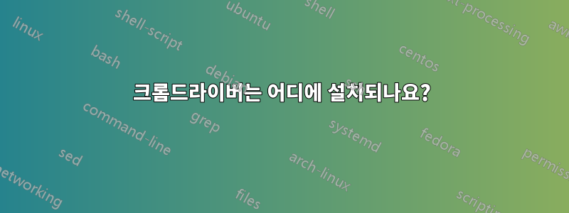 크롬드라이버는 어디에 설치되나요?