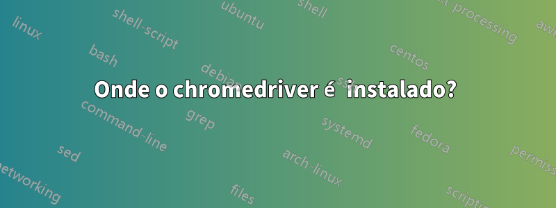 Onde o chromedriver é instalado?