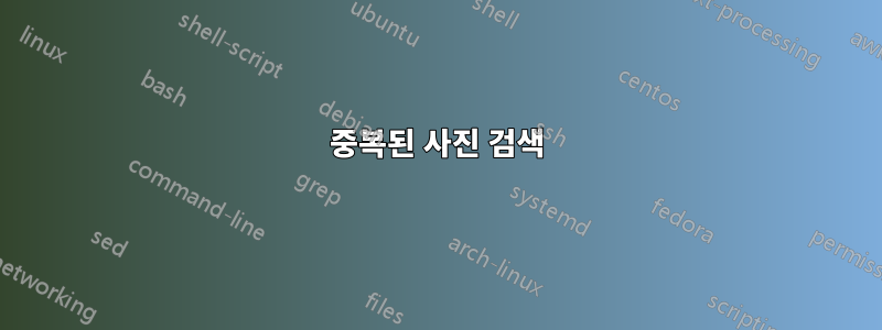 중복된 사진 검색