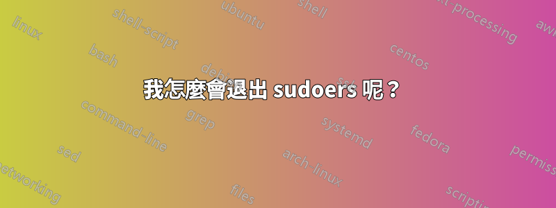 我怎麼會退出 sudoers 呢？ 