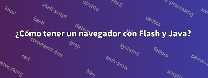 ¿Cómo tener un navegador con Flash y Java?