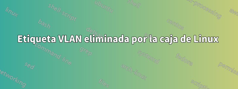 Etiqueta VLAN eliminada por la caja de Linux