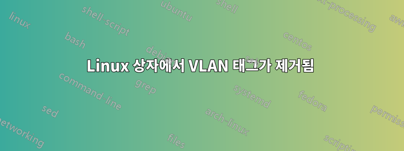 Linux 상자에서 VLAN 태그가 제거됨