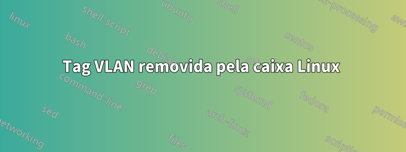 Tag VLAN removida pela caixa Linux