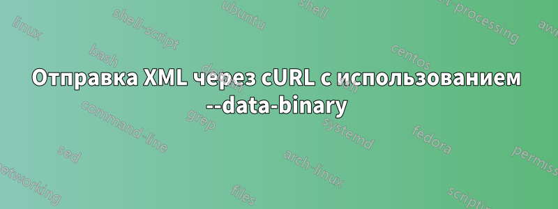Отправка XML через cURL с использованием --data-binary