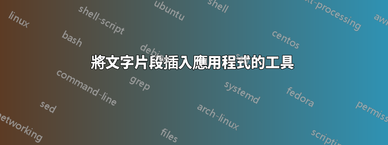 將文字片段插入應用程式的工具