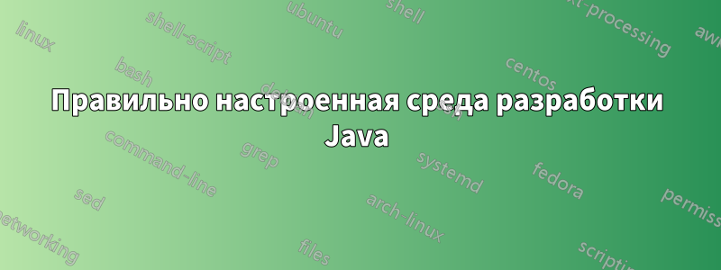 Правильно настроенная среда разработки Java