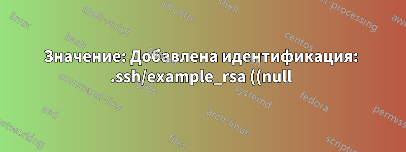 Значение: Добавлена идентификация: .ssh/example_rsa ((null))