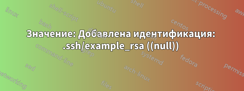 Значение: Добавлена ​​идентификация: .ssh/example_rsa ((null))