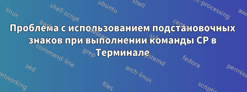 Проблема с использованием подстановочных знаков при выполнении команды CP в Терминале