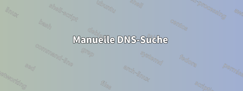 Manuelle DNS-Suche