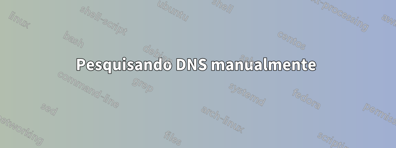 Pesquisando DNS manualmente