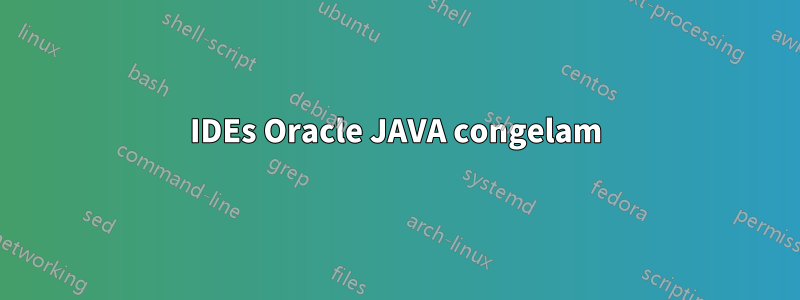 IDEs Oracle JAVA congelam