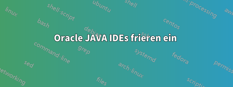 Oracle JAVA IDEs frieren ein