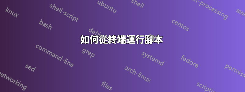 如何從終端運行腳本