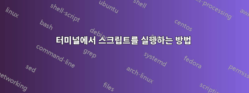 터미널에서 스크립트를 실행하는 방법