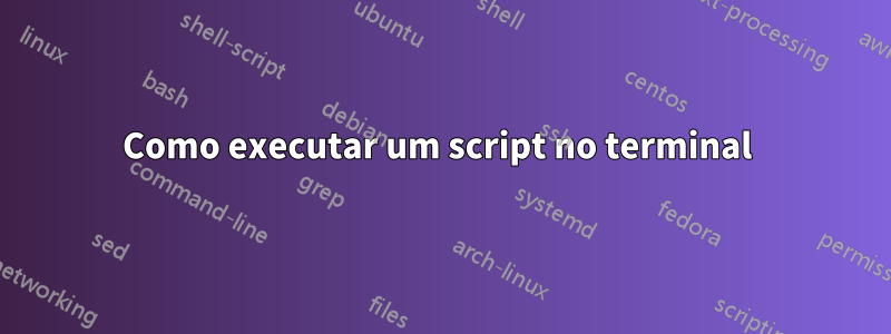 Como executar um script no terminal