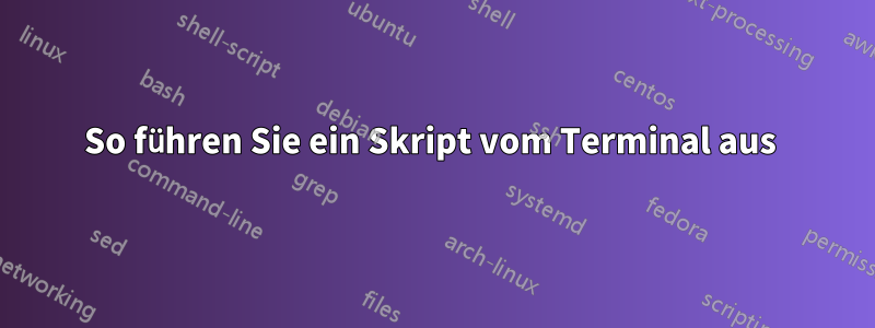 So führen Sie ein Skript vom Terminal aus 