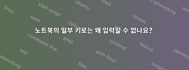노트북의 일부 키로는 왜 입력할 수 없나요?