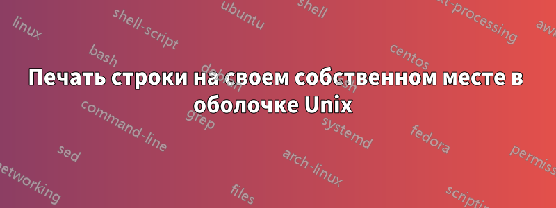 Печать строки на своем собственном месте в оболочке Unix 