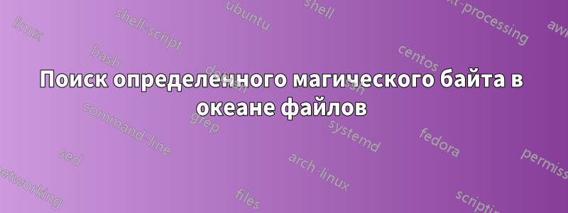 Поиск определенного магического байта в океане файлов