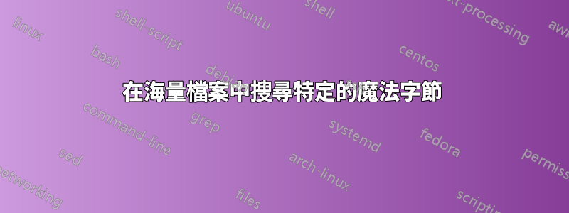 在海量檔案中搜尋特定的魔法字節