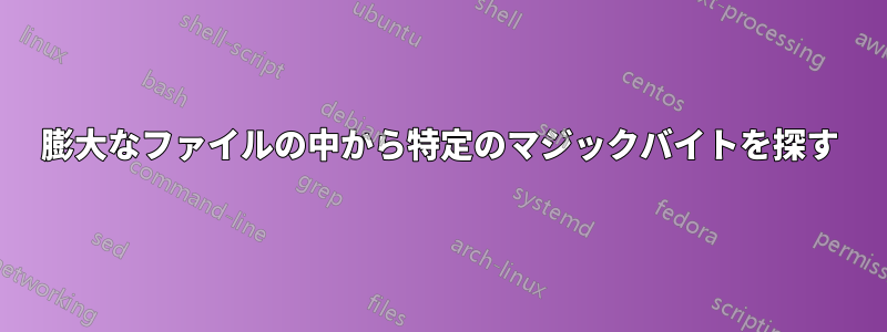 膨大なファイルの中から特定のマジックバイトを探す