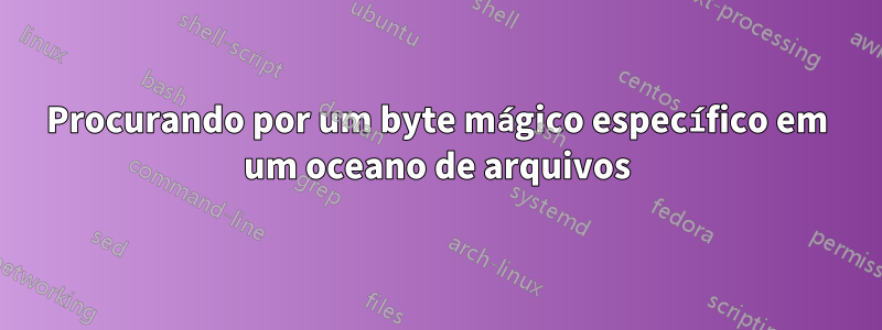 Procurando por um byte mágico específico em um oceano de arquivos