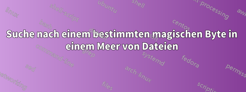 Suche nach einem bestimmten magischen Byte in einem Meer von Dateien