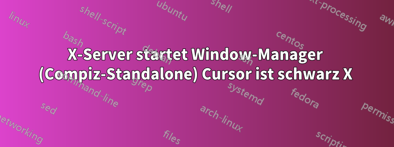 X-Server startet Window-Manager (Compiz-Standalone) Cursor ist schwarz X