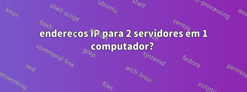 2 endereços IP para 2 servidores em 1 computador?