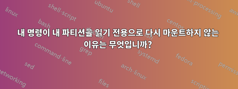 내 명령이 내 파티션을 읽기 전용으로 다시 마운트하지 않는 이유는 무엇입니까?