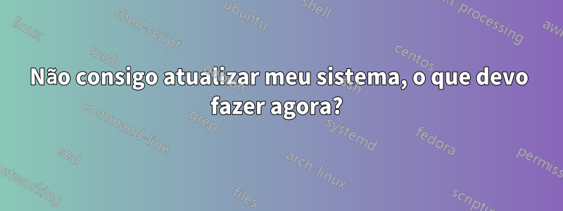 Não consigo atualizar meu sistema, o que devo fazer agora? 