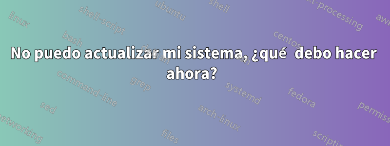 No puedo actualizar mi sistema, ¿qué debo hacer ahora? 