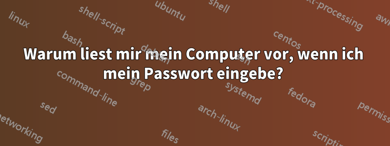 Warum liest mir mein Computer vor, wenn ich mein Passwort eingebe?