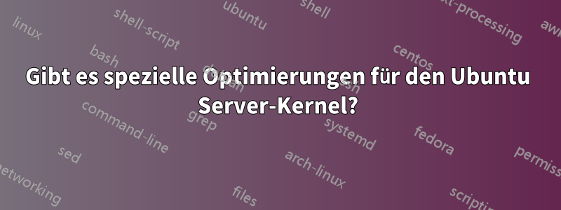 Gibt es spezielle Optimierungen für den Ubuntu Server-Kernel?