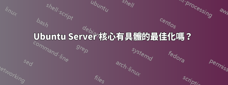 Ubuntu Server 核心有具體的最佳化嗎？