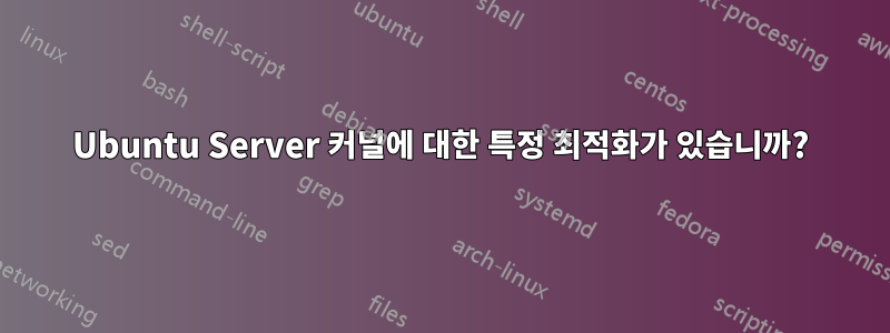 Ubuntu Server 커널에 대한 특정 최적화가 있습니까?