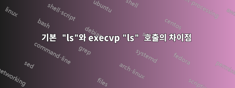 기본 "ls"와 execvp "ls" 호출의 차이점