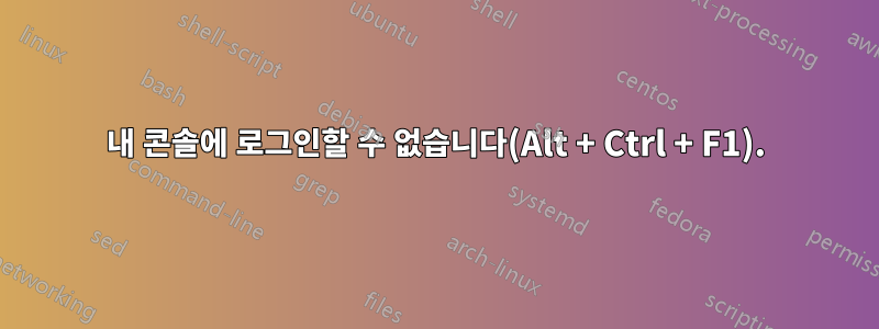 내 콘솔에 로그인할 수 없습니다(Alt + Ctrl + F1).