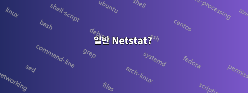 일반 Netstat?