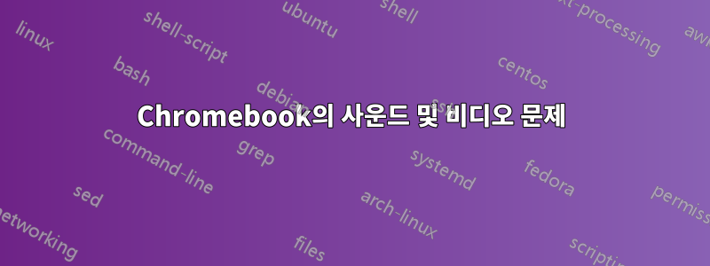 Chromebook의 사운드 및 비디오 문제