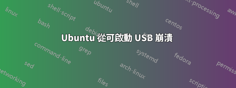 Ubuntu 從可啟動 USB 崩潰