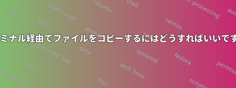 ターミナル経由でファイルをコピーするにはどうすればいいですか?