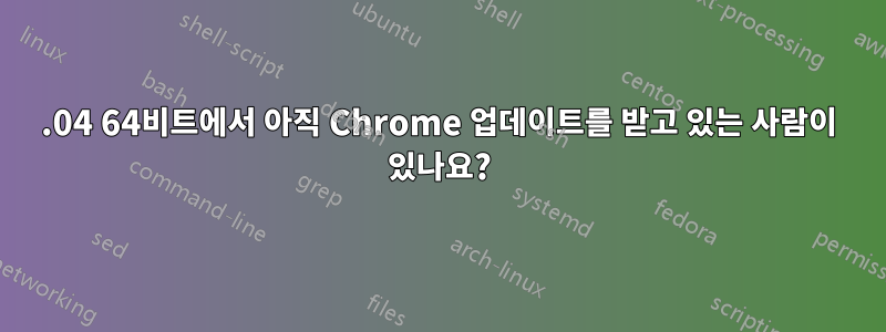 12.04 64비트에서 아직 Chrome 업데이트를 받고 있는 사람이 있나요?