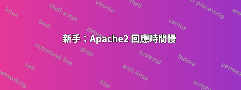 新手：Apache2 回應時間慢