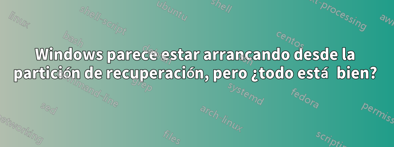 Windows parece estar arrancando desde la partición de recuperación, pero ¿todo está bien?